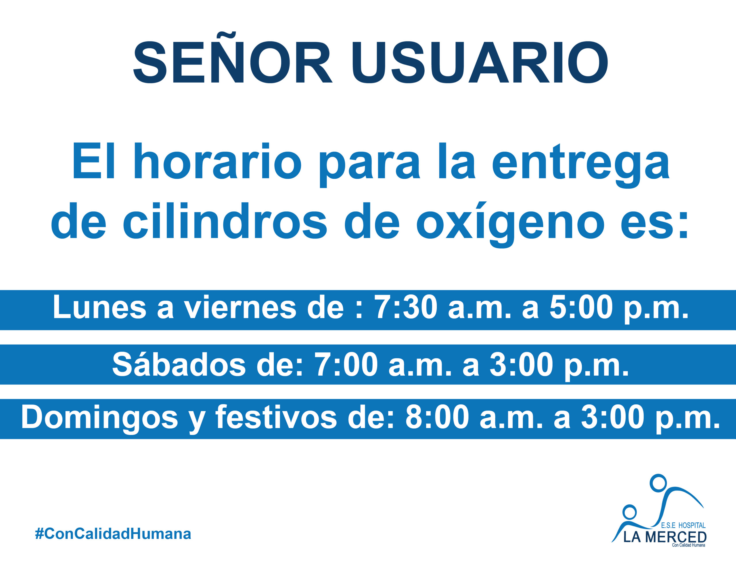 Lee más sobre el artículo 